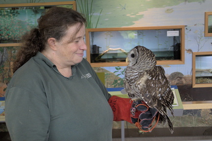 Heather & Argo, Barred Owl